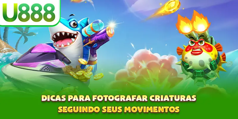 Dicas para fotografar criaturas seguindo seus movimentos Dicas para fotografar criaturas seguindo seus movimentos
